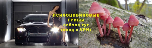 spice Вязники